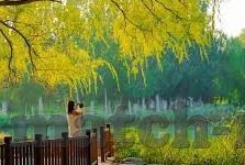 mk体育-MK体育,塑造未来运动趋势的先驱