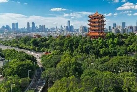 最新版九游app下载-最新九游app下载指南,探索全新移动娱乐体验